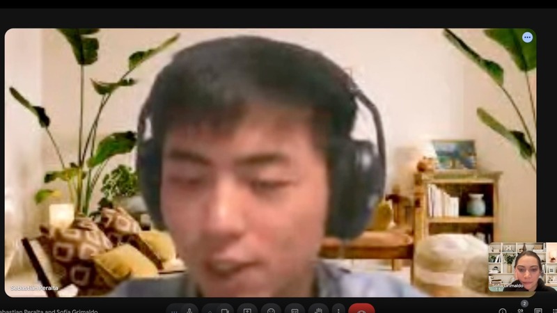 Sebastian Peralta Chollima VI blurry face filter